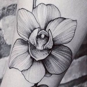 Meet your Posher, Aj